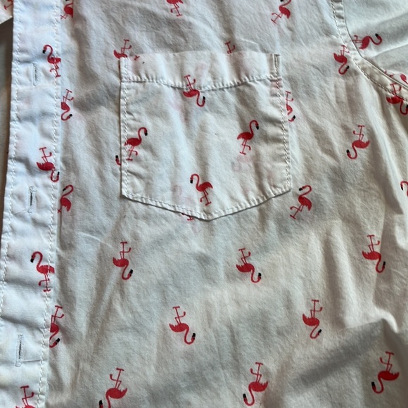 Mens urban pipeline flamingo button down - Picture 4 of 5